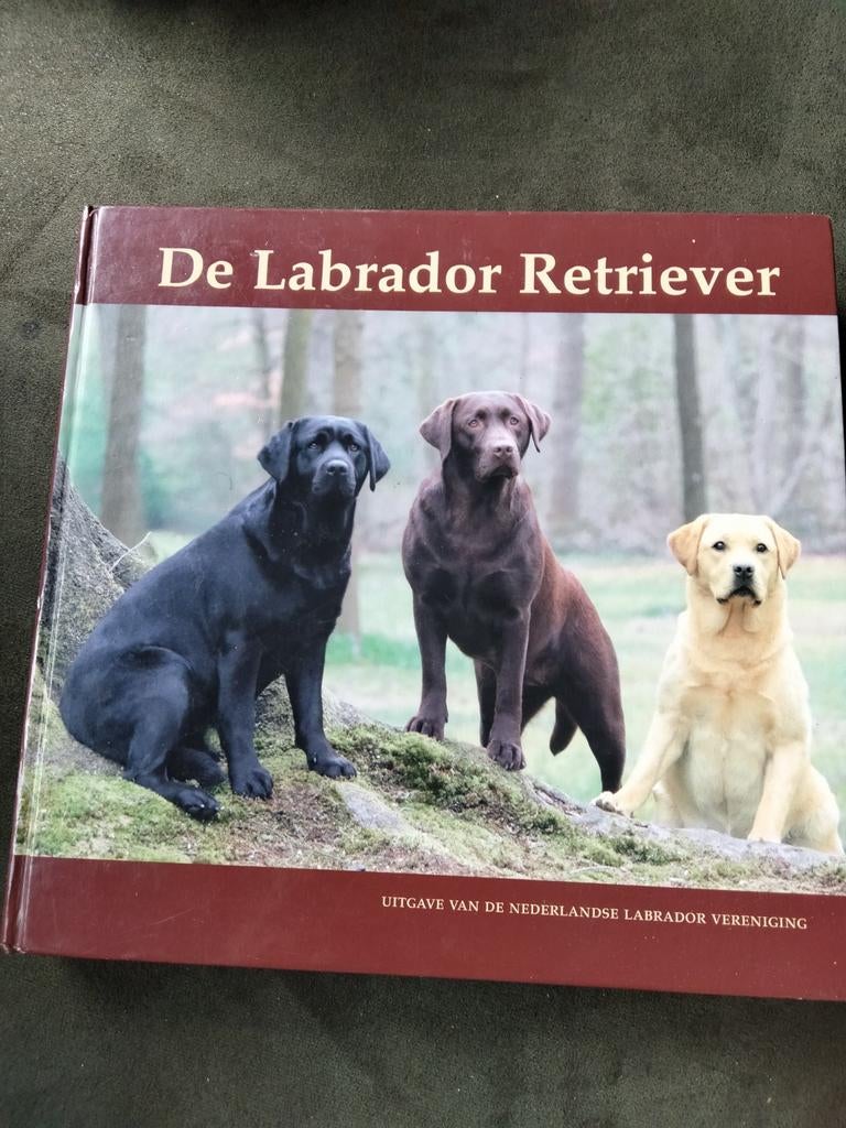 De labrador retriever - alles over deze prachthond, Gelezen, Honden, Nederlandse Labrador Vereniging, Ophalen of Verzenden
