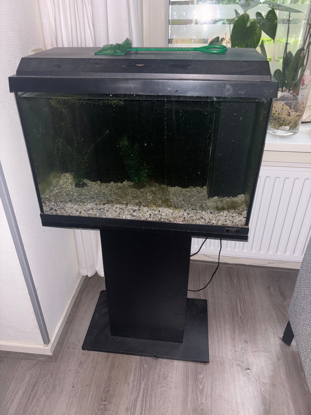 Aquarium pomp filter, Ophalen, Gebruikt, Inclusief deksel, Gevuld zoetwateraquarium