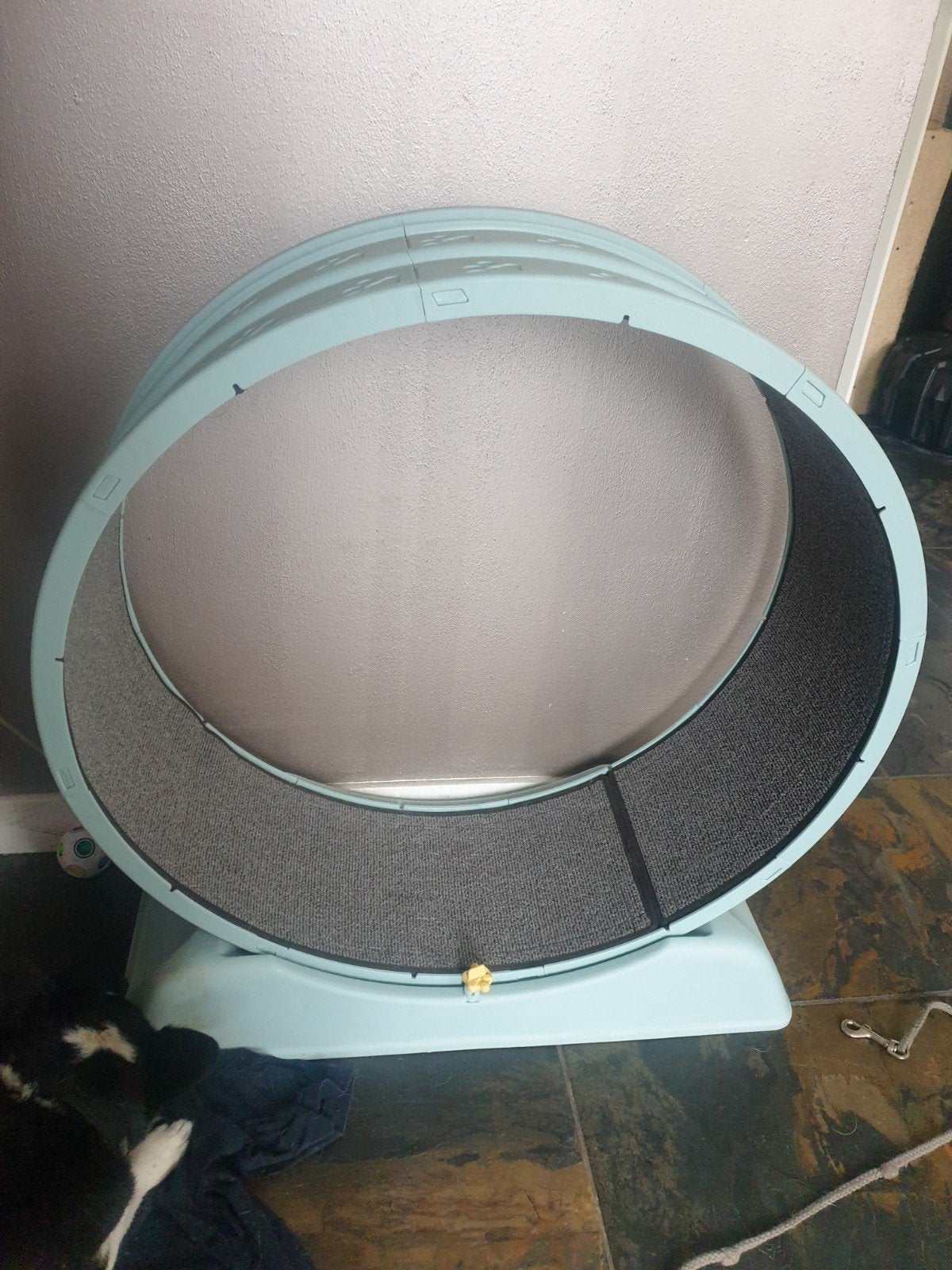 Loopwiel voor katten groot 80x80, Ophalen of Verzenden, Overig speelgoed