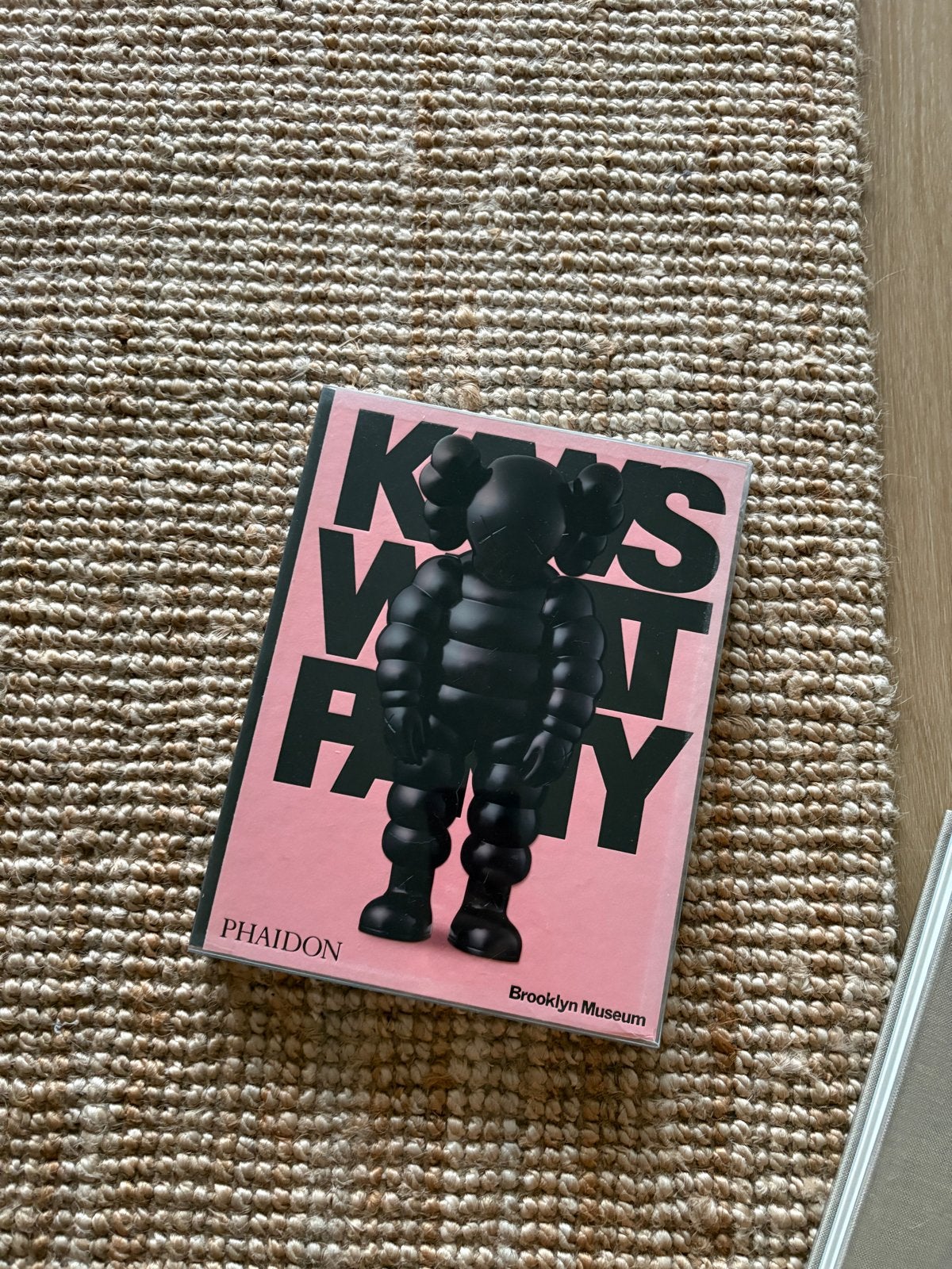 KAWS WHAT PARTY Brooklyn Museum Phaidon Boek, Ophalen of Verzenden, Zo goed als nieuw, Overige onderwerpen