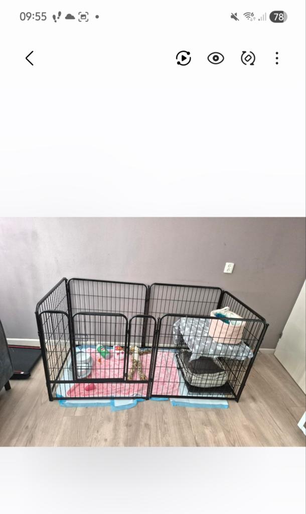 Honden ren, Dieren en Toebehoren, Hondenbenches, Ophalen