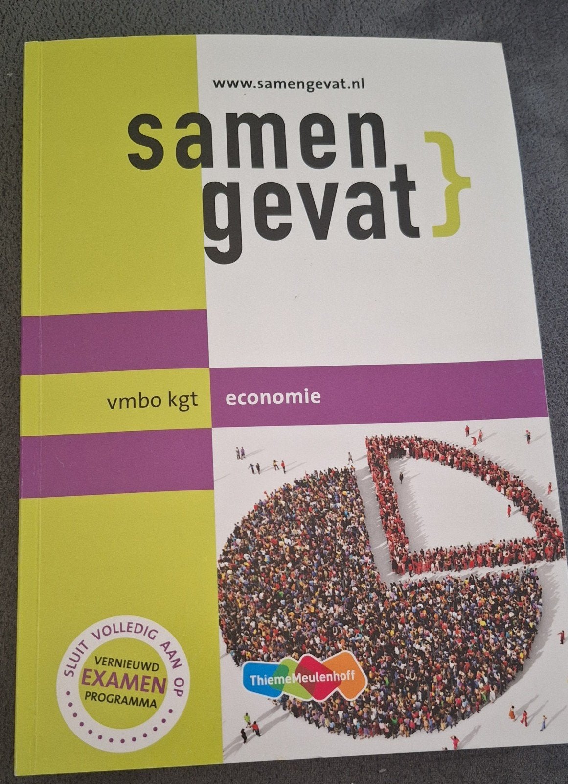 Samengevat vmbo kgt economie - ThiemeMeulenhoff, Boeken, ThiemeMeulenhoff, Ophalen of Verzenden, Zo goed als nieuw, Gamma