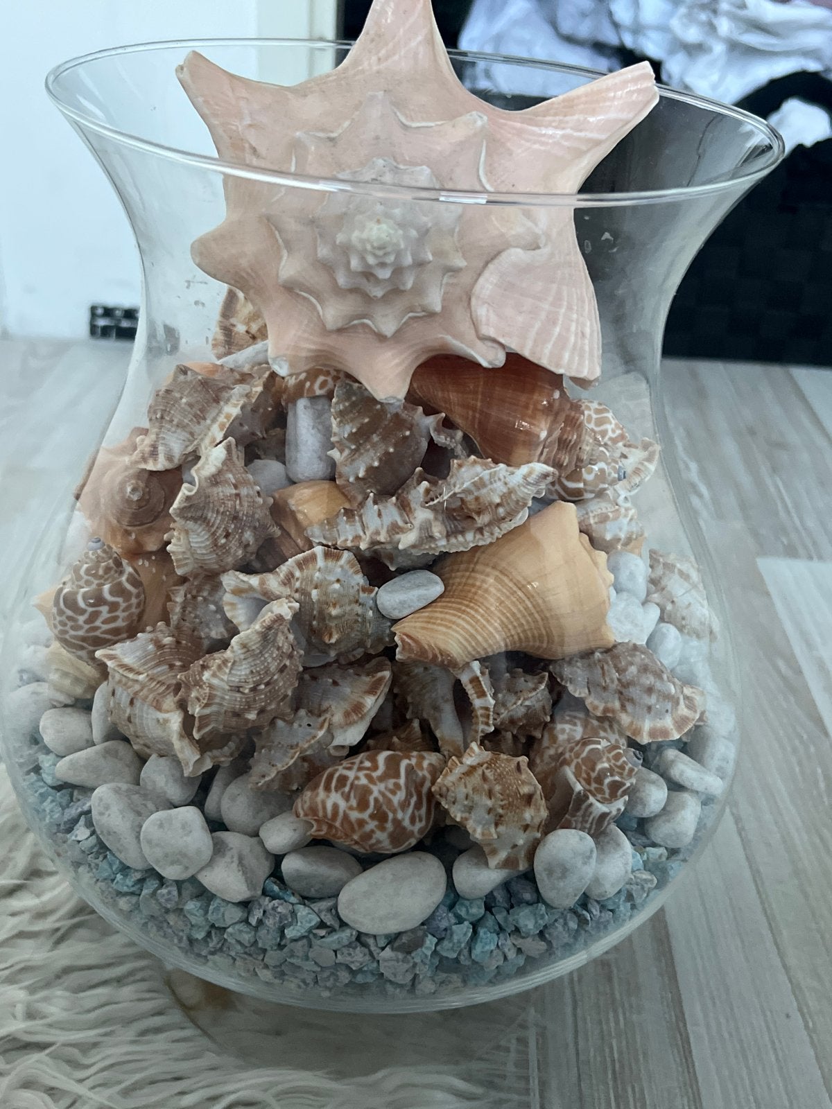 Decoratieve vaas met schelpen en stenen, Ophalen of Verzenden, Zo goed als nieuw, Modern, Wit