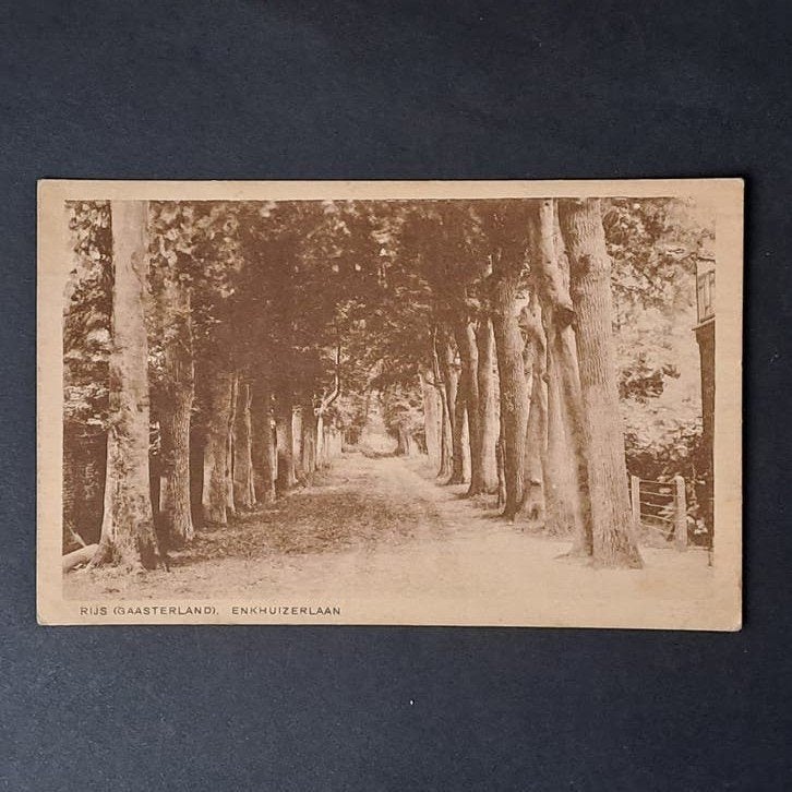 Rijs Gaasterland Friesland Zicht op de Enkhuizerlaan, Verzamelen, Ophalen of Verzenden, 1920 tot 1940, Gelopen, Friesland
