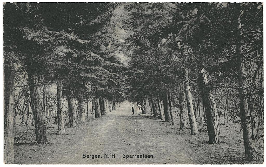 700108 Bergen 1931 Sparrenlaan .Postzegel gedeeltelijk verw, Ophalen of Verzenden, 1920 tot 1940, Gelopen, Noord-Brabant