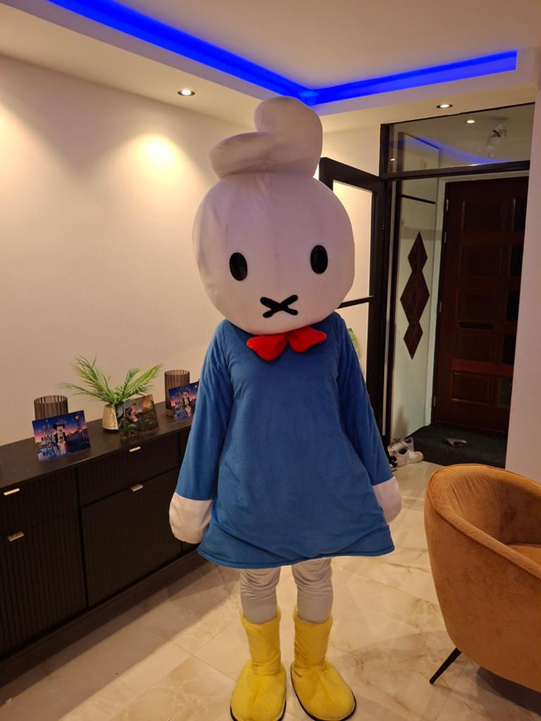 Nijntje mascotte te huur, Ophalen, Zo goed als nieuw, Overige