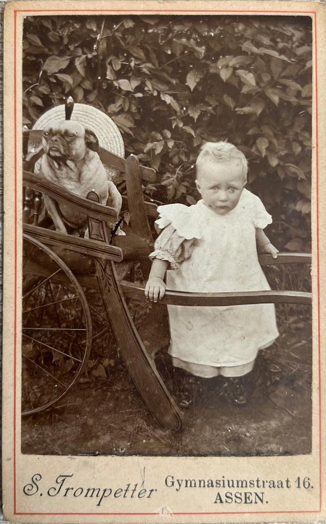 CDV Jongetje met hondenkar Fotogr. S. Trompetter Assen, Verzamelen, Foto's en Prenten, Foto, Ophalen of Verzenden, Zo goed als nieuw