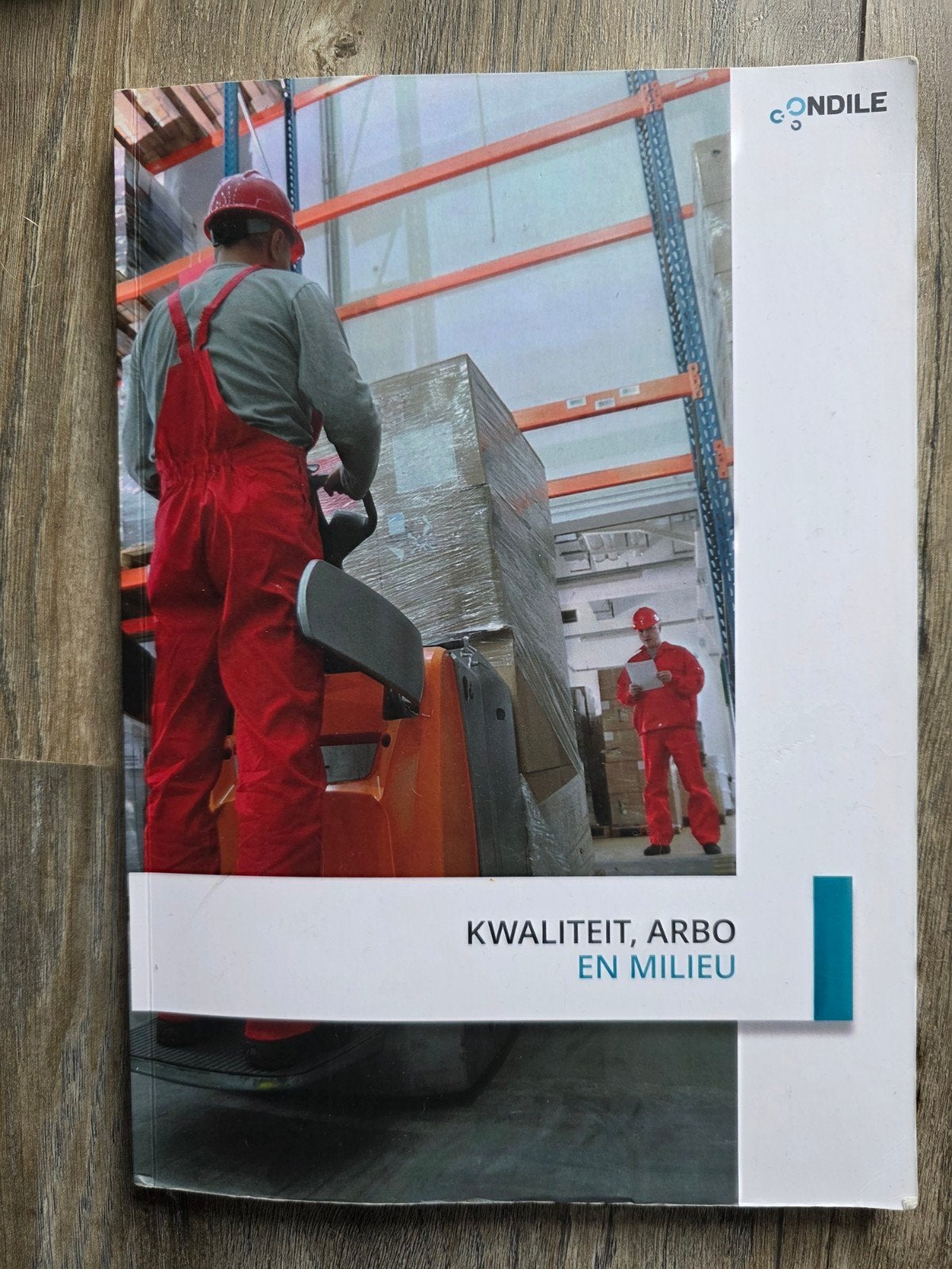 Opleiding Management Transport en Logistiek - Condile, Boeken, Ophalen of Verzenden, Beta, Nieuw, Niet van toepassing