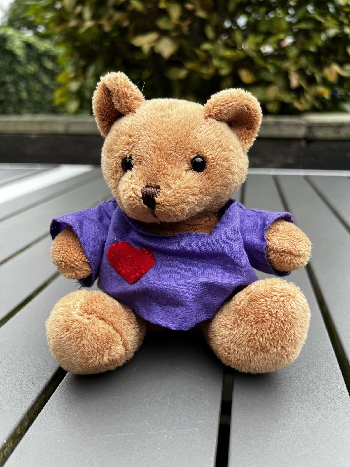 Teddybeer met paars shirt, Kinderen en Baby's, Ophalen of Verzenden, Zo goed als nieuw, Bruin, Beer