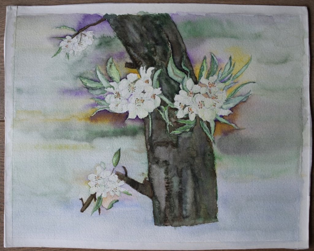 Handgemaakte aquarel: Bloesem aan boomstam, 37 x 47 cm, Realistisch, Aquarel, Origineel werk, Papier