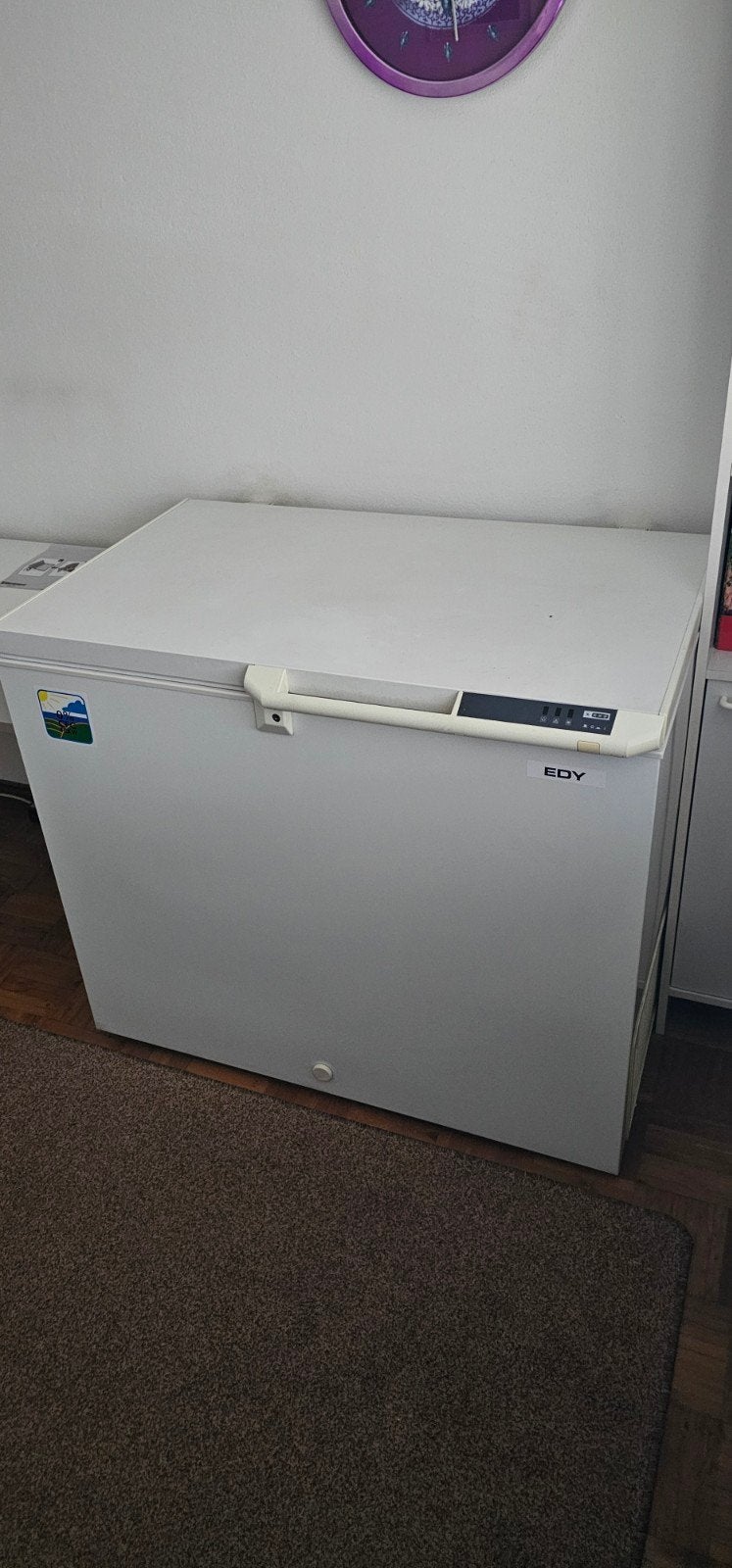 EDY Vrieskist - Ruim en Energiezuinig, Vrieskist, Gebruikt, Energieklasse A of zuiniger, Ophalen