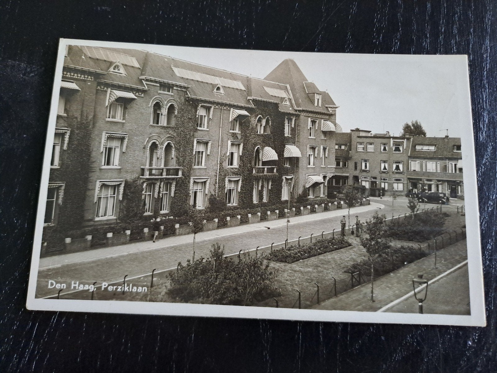 Den Haag, perziken, fotokaart, Ophalen of Verzenden, Voor 1920, Zuid-Holland