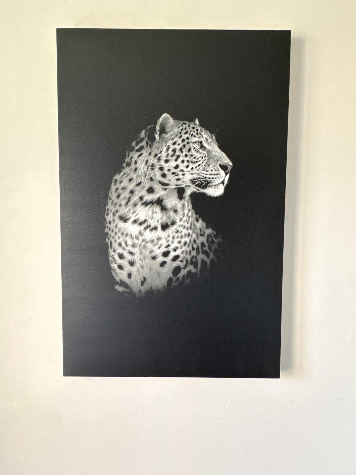 Schilderij/Foto Luipaard Zwart-Wit 115x75 cm, Ophalen, Zo goed als nieuw, 75 tot 100 cm, Foto of Poster