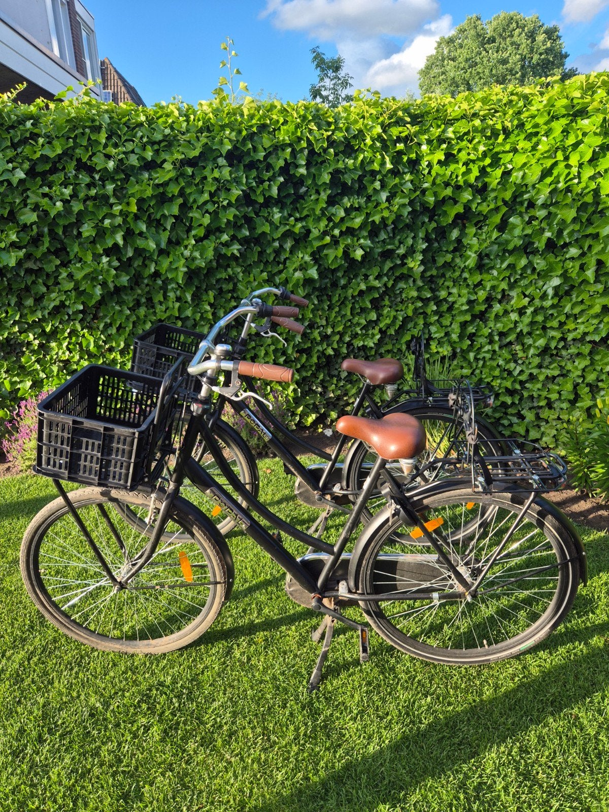 2x Popal Fiets 28 inch met terugtraprem en voorrem, Minder dan 47 cm, Ophalen, Gebruikt, Overige merken