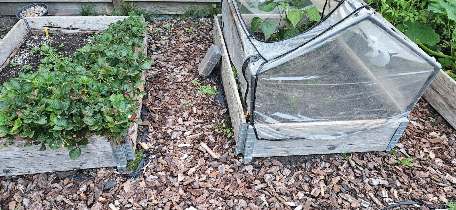 boomschors, Tuin en Terras, Ophalen, Rond, Hout, Minder dan 30 cm
