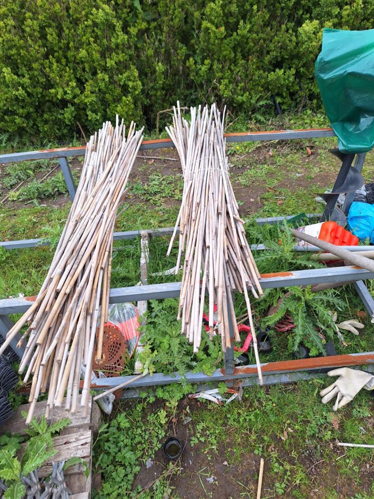 Gebruikte bamboestokken, Ophalen of Verzenden, Gebruikt, Palen