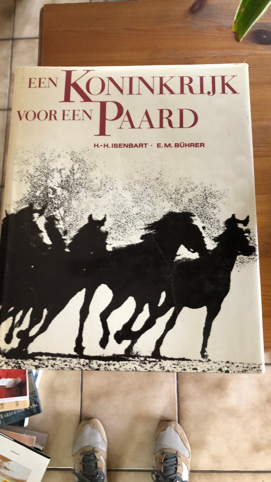 Een Koninkrijk voor een Paard - H.-H. Isenbart, E.M. Bührer, Ophalen of Verzenden, Gelezen