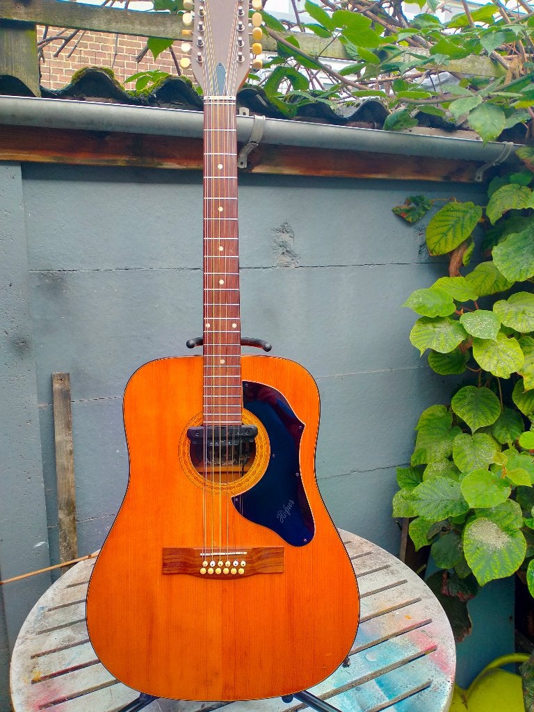 12 snarige  Hofner, Ophalen of Verzenden, Gebruikt, Western- of Steelstringgitaar, 12-snarig