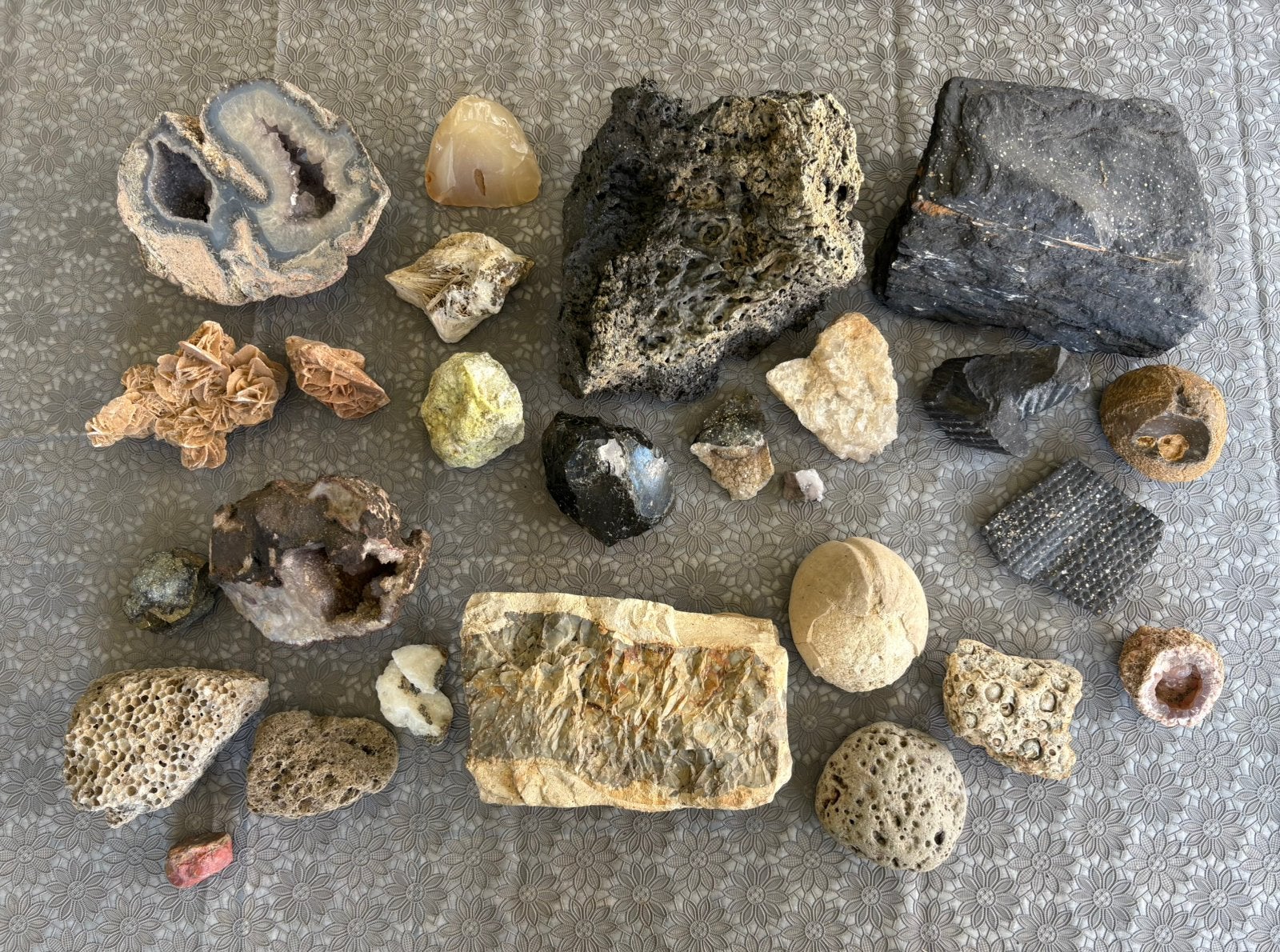 Prachtig lot mineralen, geodes en prehistorische fossielen, Ophalen of Verzenden, Fossiel