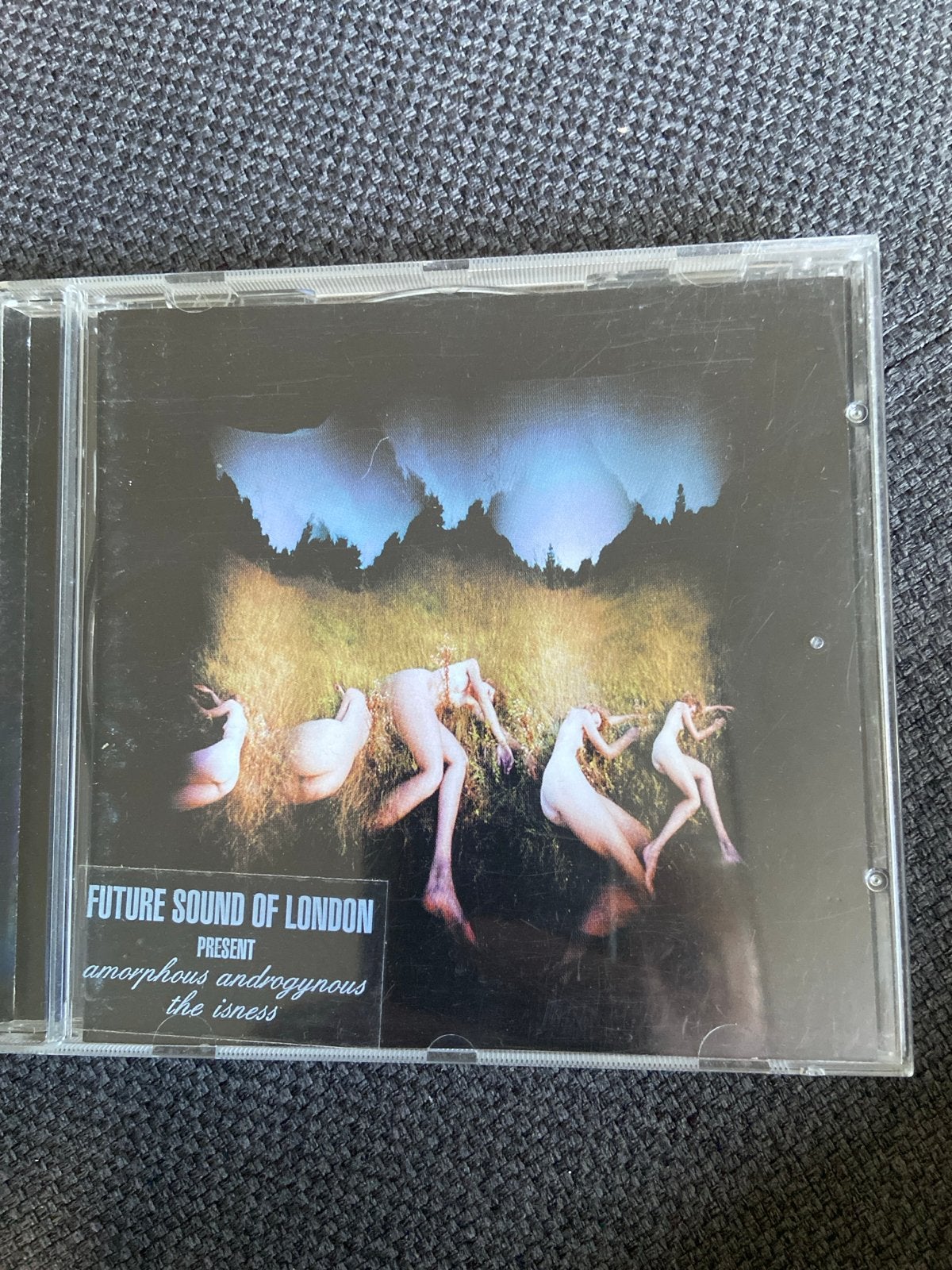 Future Sound of London - Amorphous Androgynous - The Isness, Ophalen of Verzenden, Gebruikt, Electro, Album