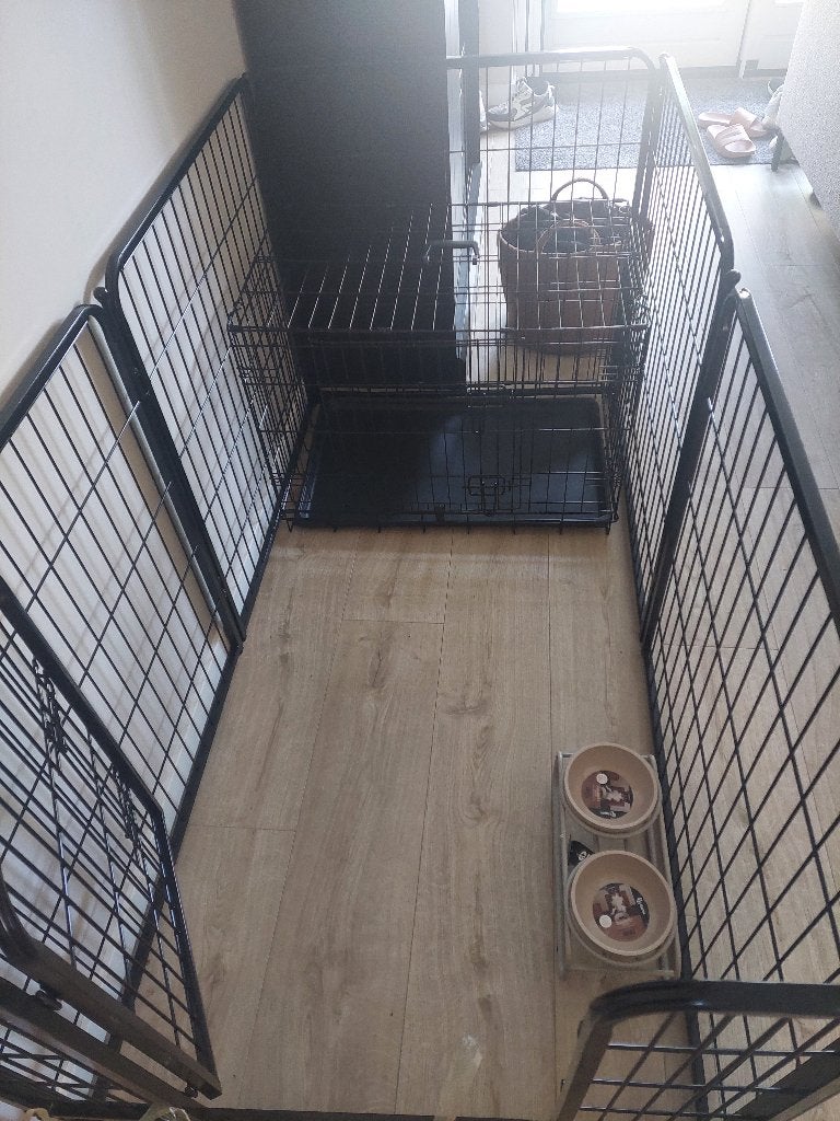 Ren hond Action, Dieren en Toebehoren, Ophalen, 110 cm of meer, 65 tot 100 cm, Hondenhok