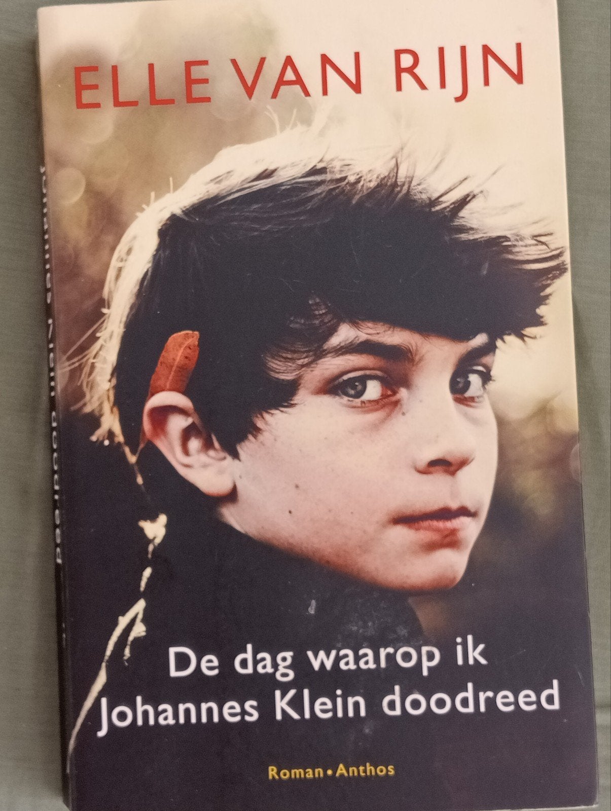 De dag waarop ik Johannes Klein doodreed - Elle van Rijn, Boeken, Ophalen of Verzenden