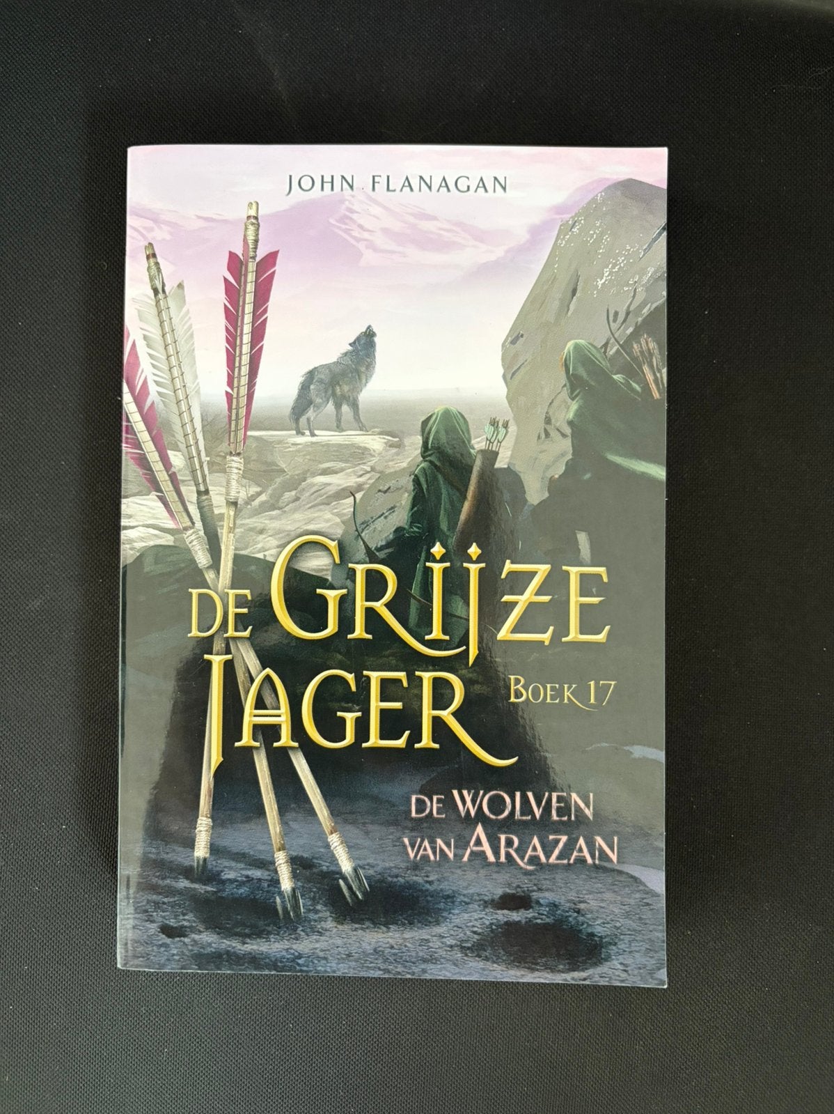 De grijze jager deel 17, Ophalen of Verzenden, Zo goed als nieuw