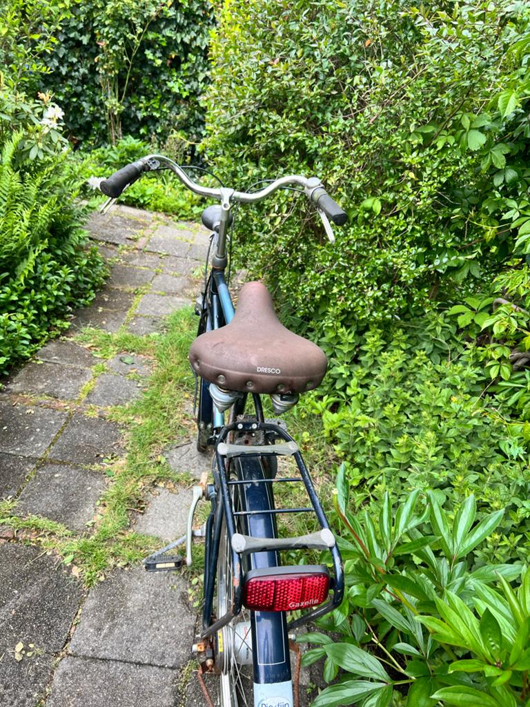 Gazelle Primeur herenfiets – opknapfiets (met versnellingen), Minder dan 10 versnellingen, Gebruikt, Ophalen of Verzenden, 55 cm of meer