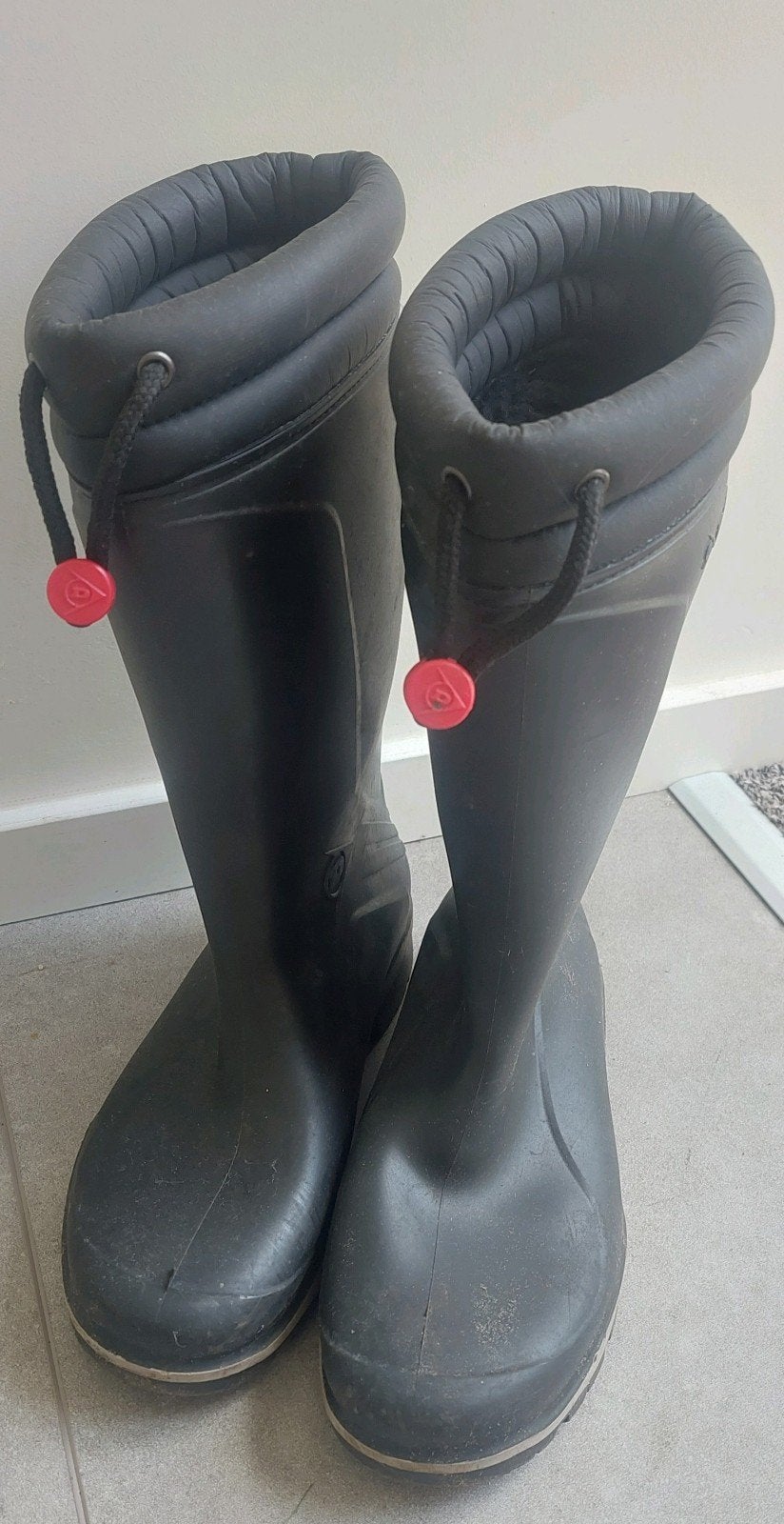 gevoerde regenlaarzen mt 38 zwart, Tuin en Terras, Werkkleding, Ophalen, Zo goed als nieuw, Laarzen, Dunlop