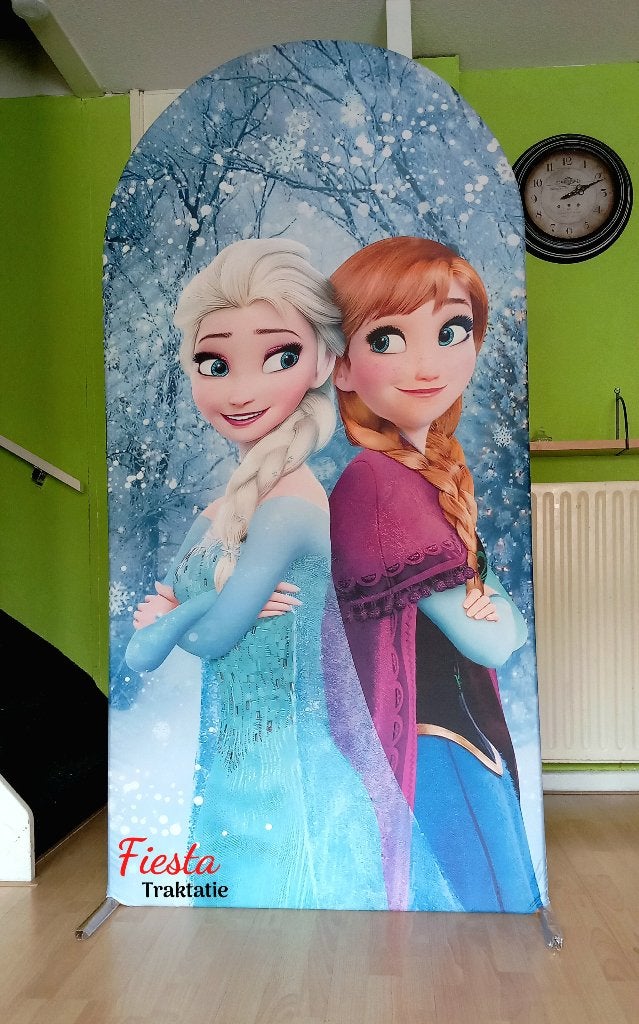 Frozen backdrop huur, Ophalen of Verzenden, Nieuw, Overige