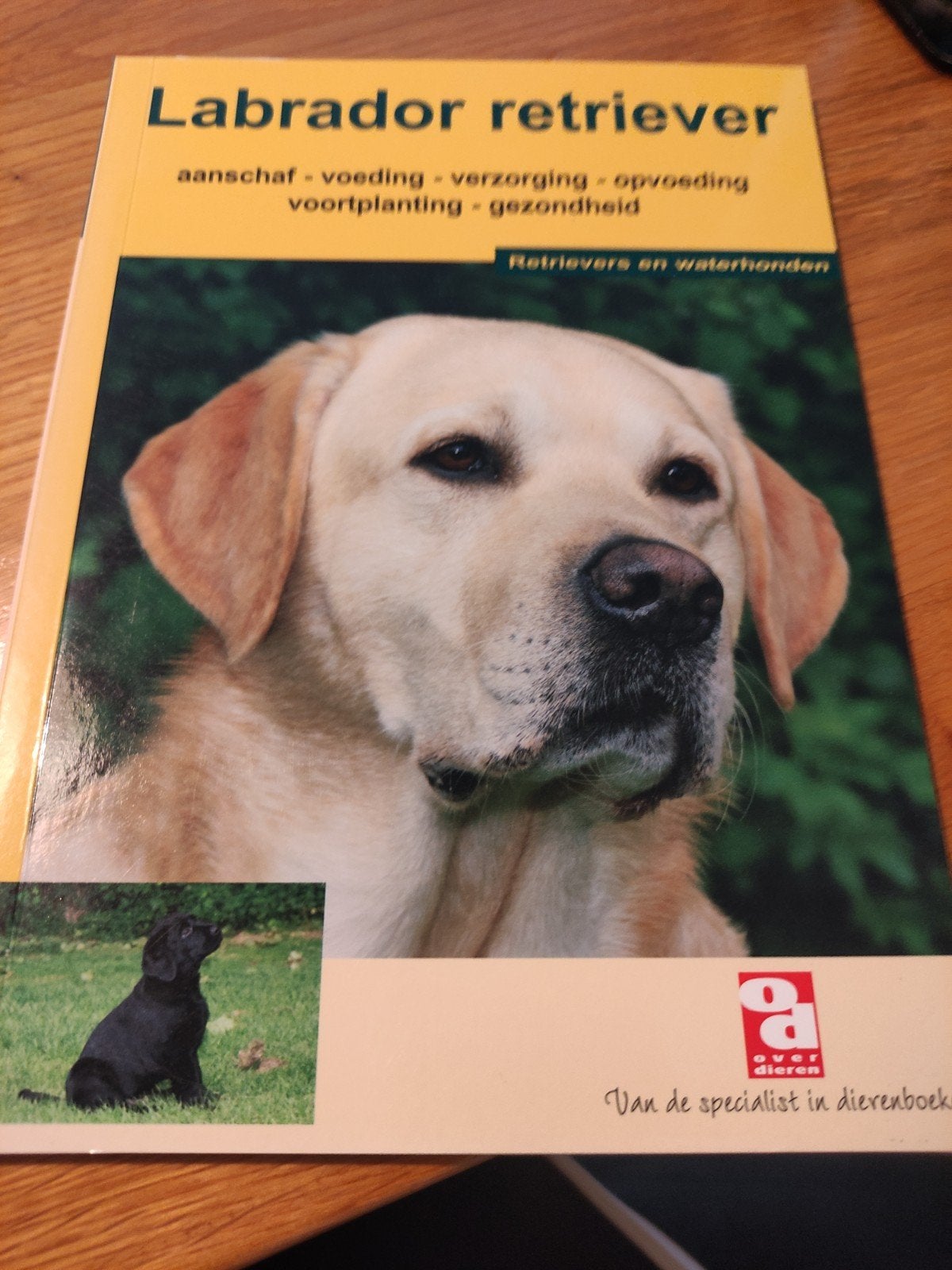Labrador retriever, Boeken, Ophalen of Verzenden