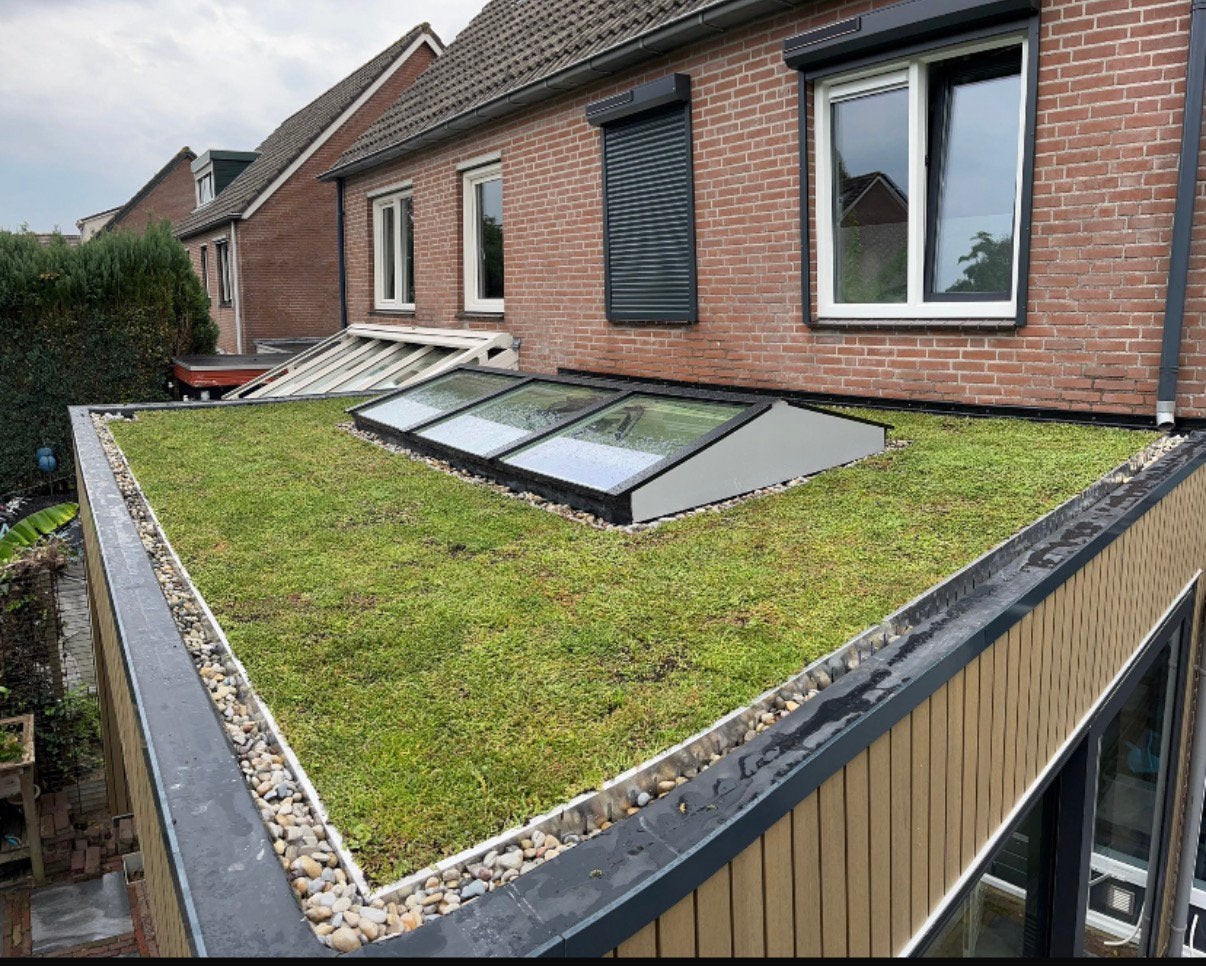 Groen Sedumdak alles voor uw te maken groendak, Overige materialen, Overige kleuren, Overige typen, Nieuw