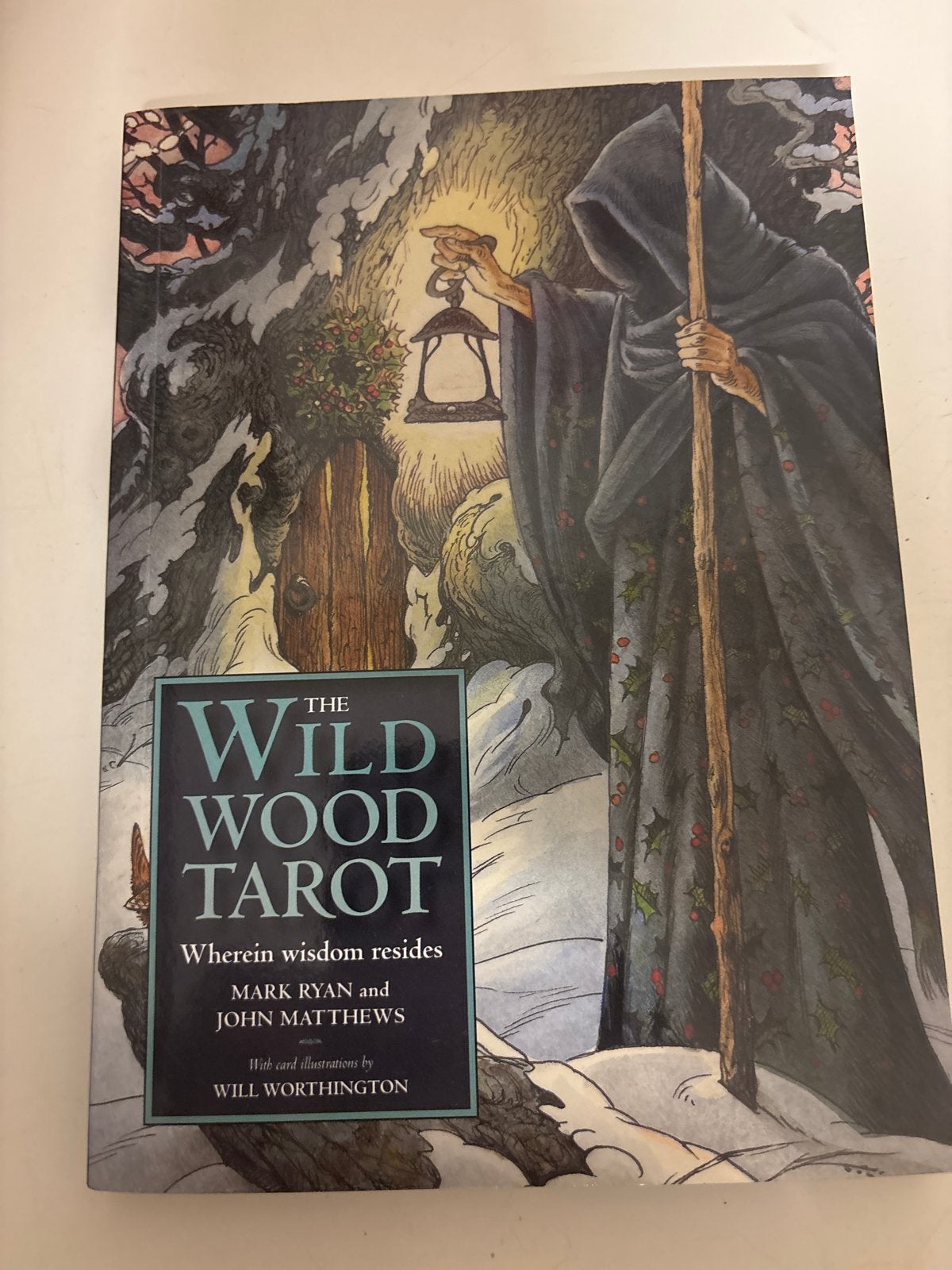 The Wildwood Tarot, Ophalen of Verzenden, Gelezen, Tarot of Kaarten leggen, Instructieboek