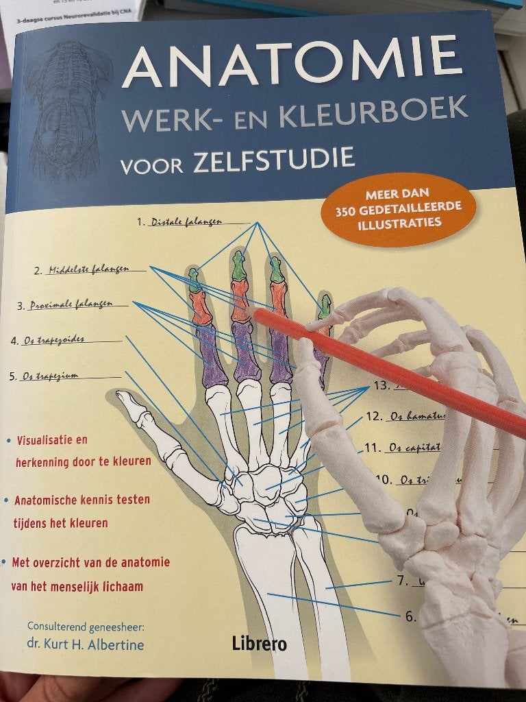 Anatomie Werk- en Kleurboek voor Zelfstudie, Boeken, Zo goed als nieuw, Beta, HBO, Dr. Kurt H. Albertine