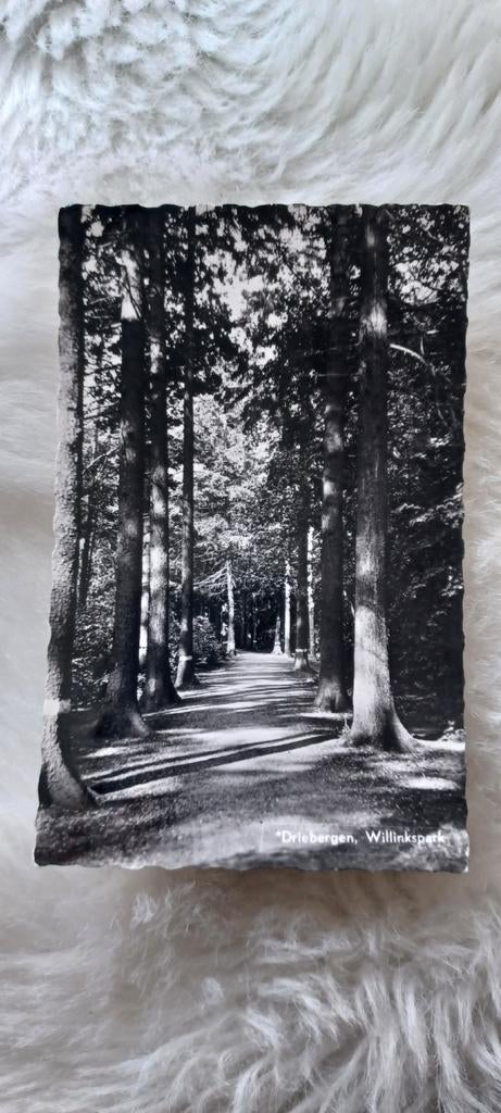 Oude Ansichtkaart Driebergen, Willinkspark (Gelopen), Ophalen of Verzenden, 1920 tot 1940, Gelopen, Utrecht