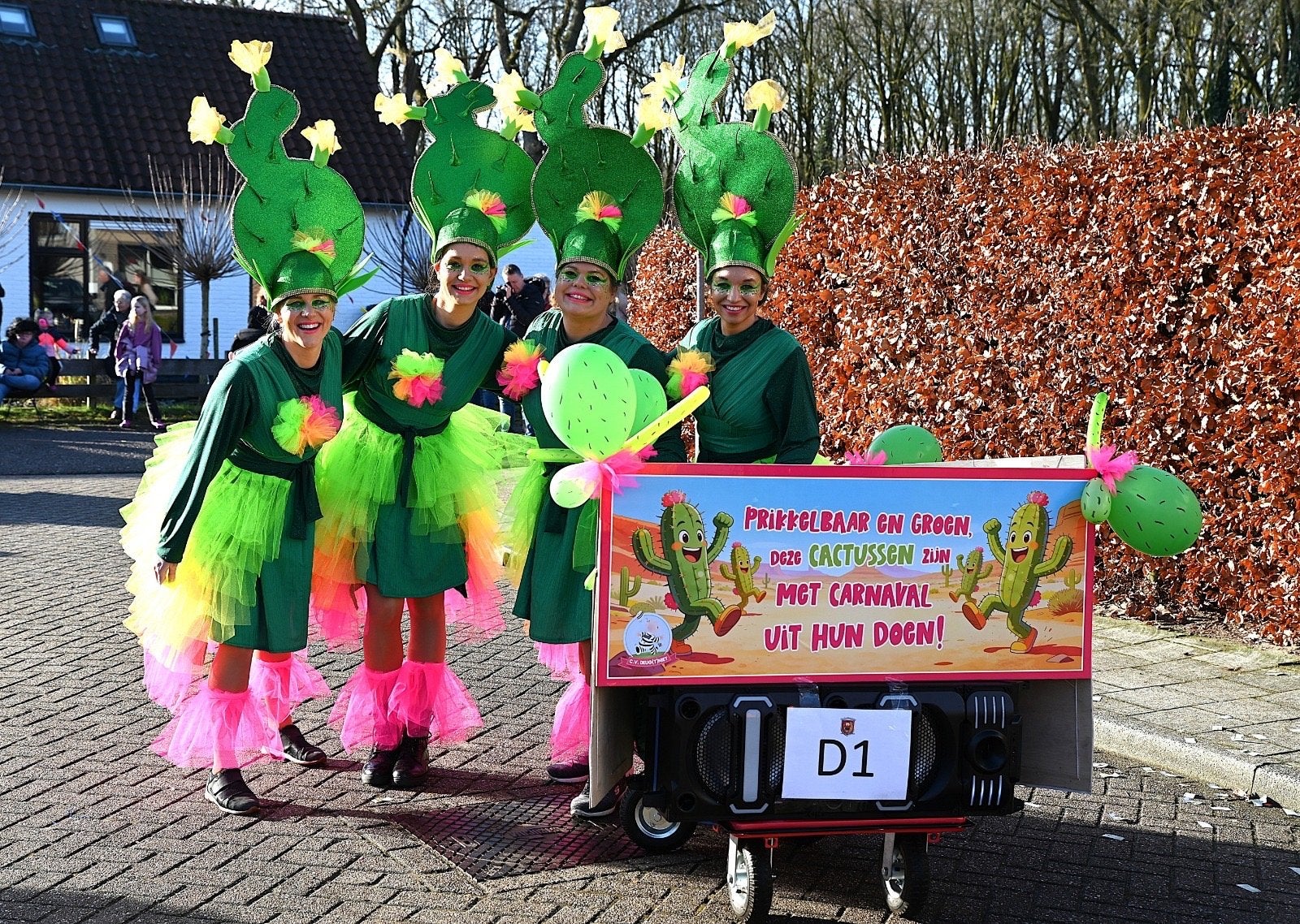 Carnavalskleding: Cactuskostuum met hoed en rok, Kleding | Dames, Carnaval, Kleding, Gedragen, Ophalen