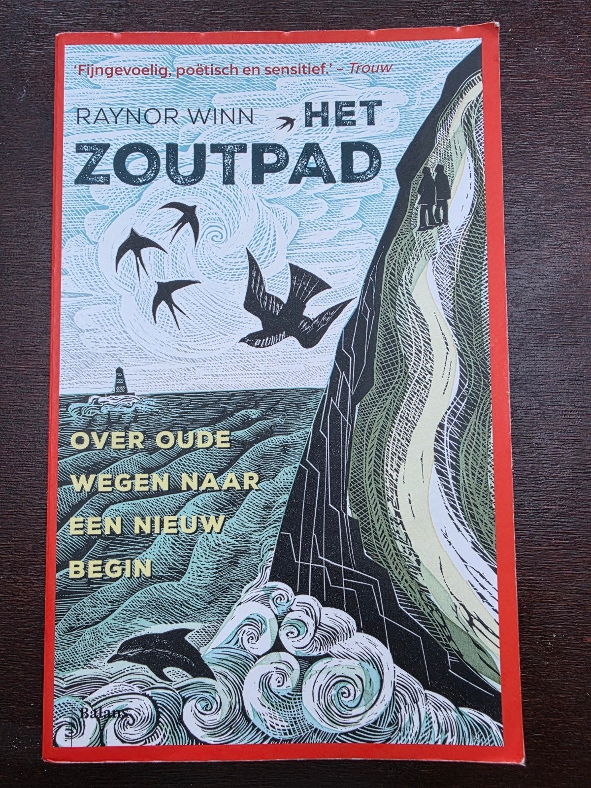 Het Zoutpad - Raynor Winn - over oude wegen naar een nieuw b, Ophalen of Verzenden, Zo goed als nieuw, Raynor Winn, Europa
