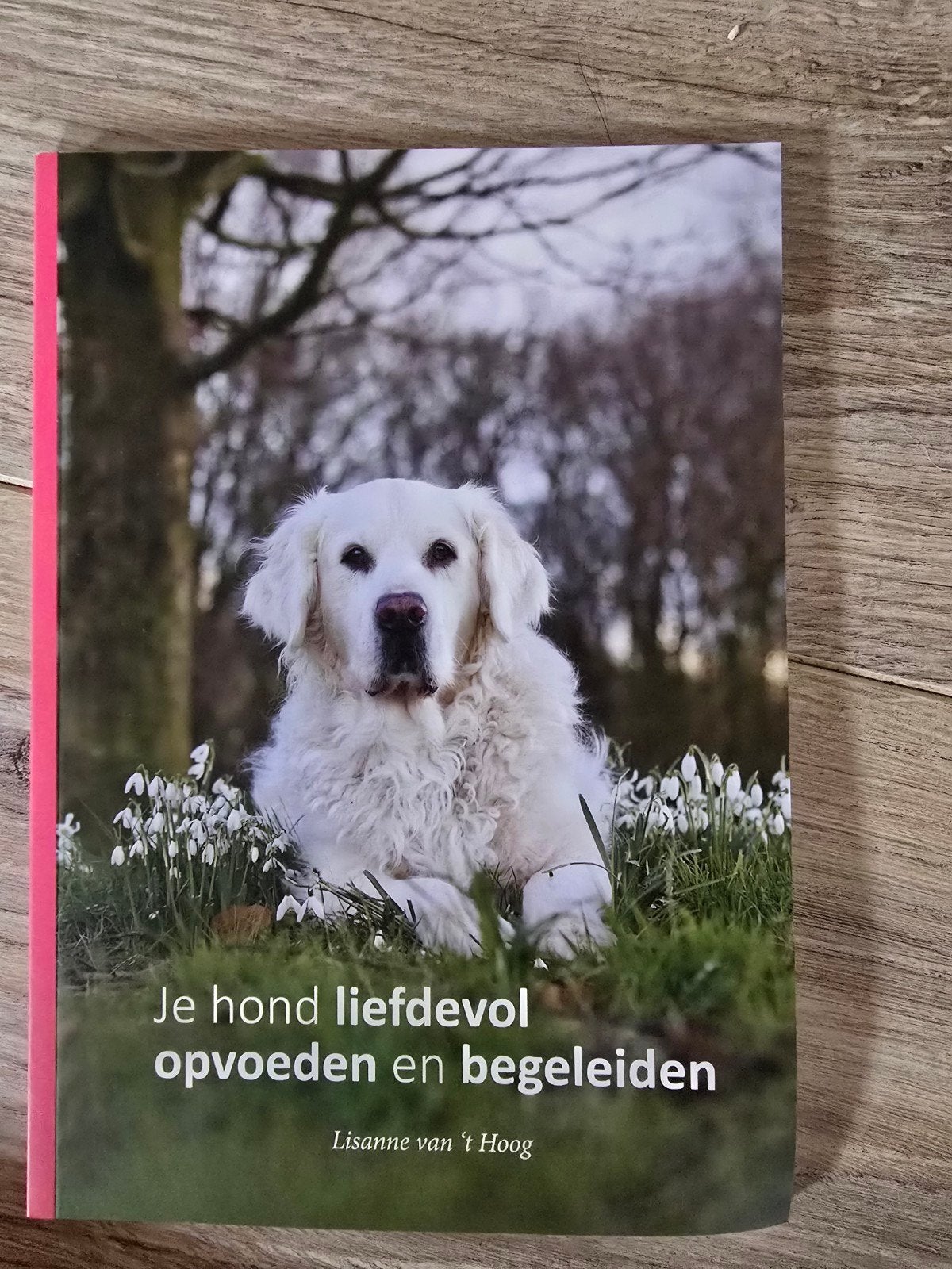 Je hond liefdevol opvoeden en begeleiden - Lisanne van 't Ho, Boeken, Dieren en Huisdieren, Zo goed als nieuw, Honden, Ophalen of Verzenden