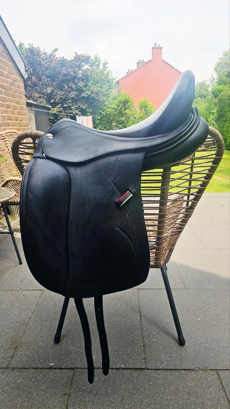 Erreplus Impulse, Dieren en Toebehoren, Paarden en Pony's | Zadels, Dressuur, Ophalen