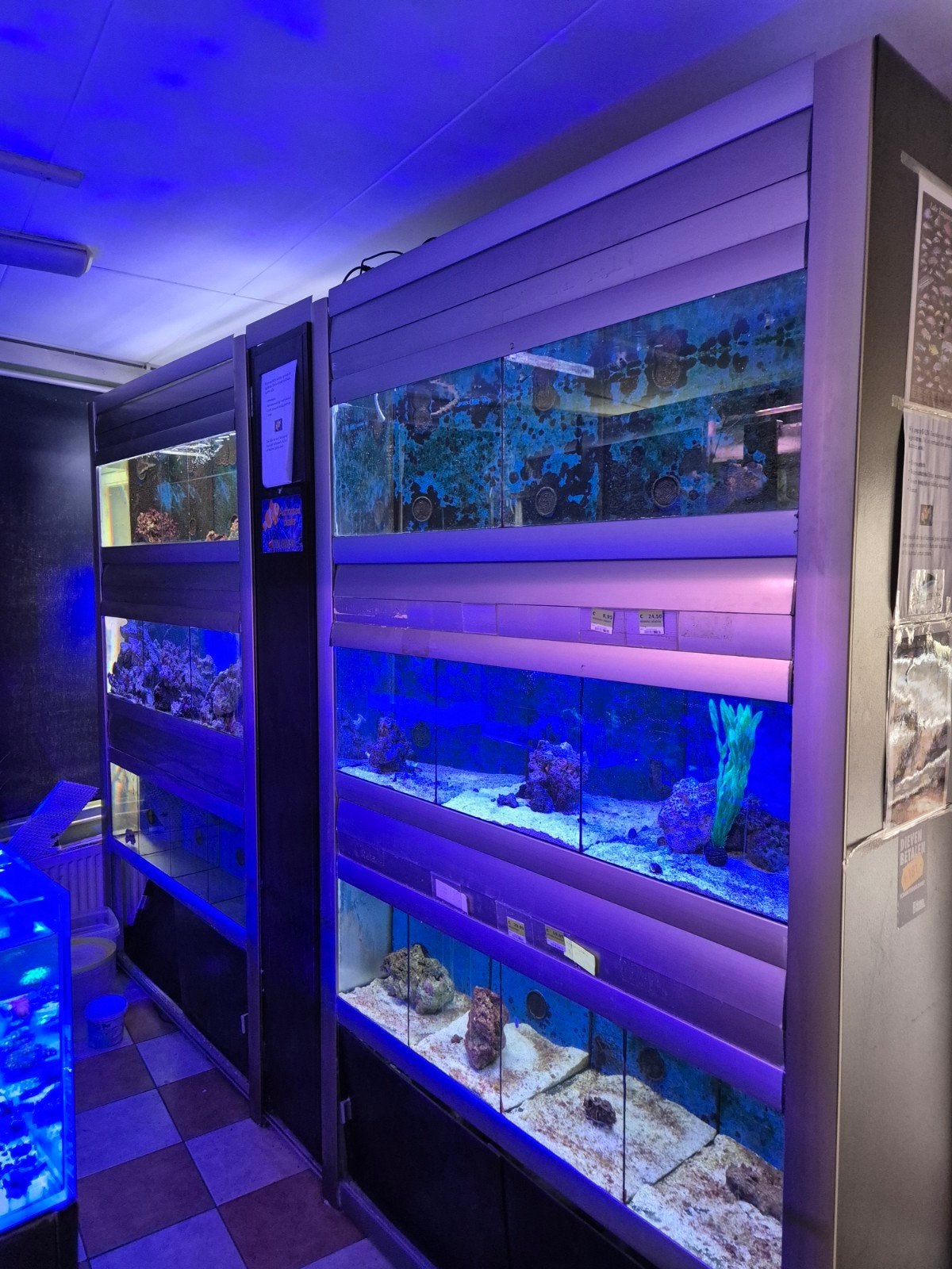 Zeewater aquarium stelling en koralen aquaria, Dieren en Toebehoren, Vissen | Aquaria en Toebehoren, Ophalen, Inclusief toebehoren