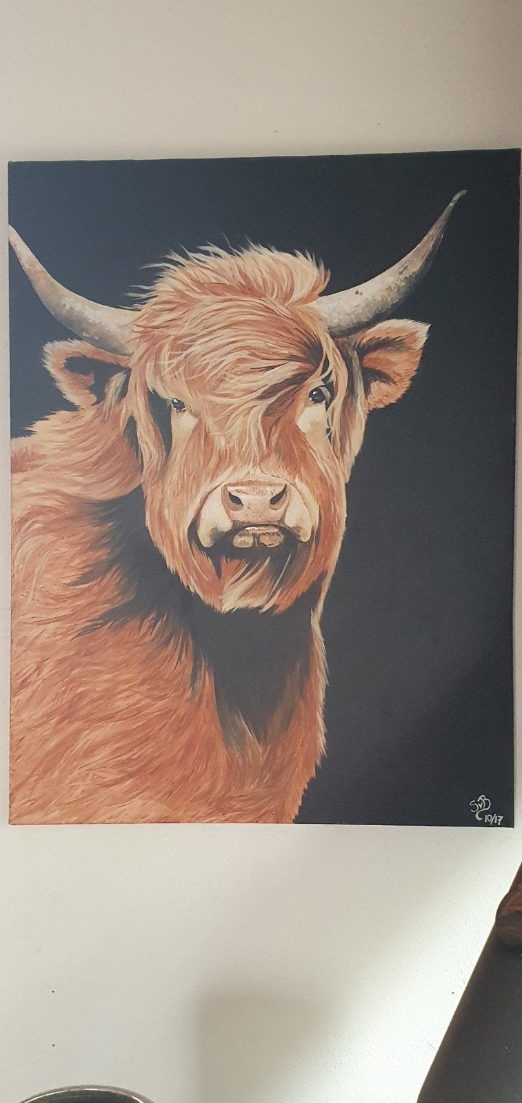 schilderij schotse hooglander 60x80, Ophalen, Dieren