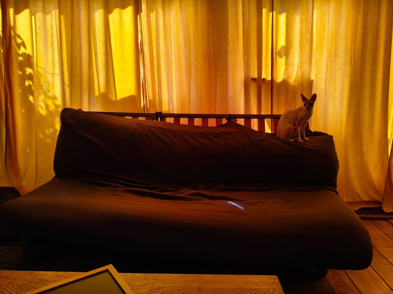 Stevige donkerbruine slaapbank (futon) - 130x200 cm, Ophalen, Gebruikt, 140 cm, Twijfelaar