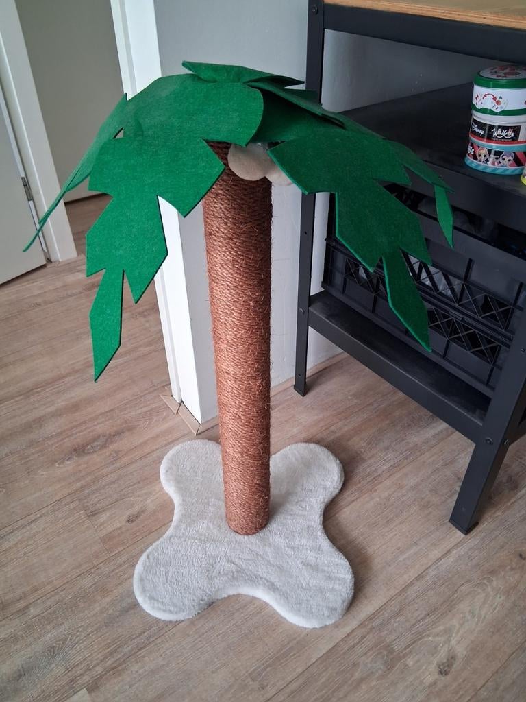Krabpaal/Krabstam Coco Palm
Nieuw, Dieren en Toebehoren, Ophalen, Zo goed als nieuw