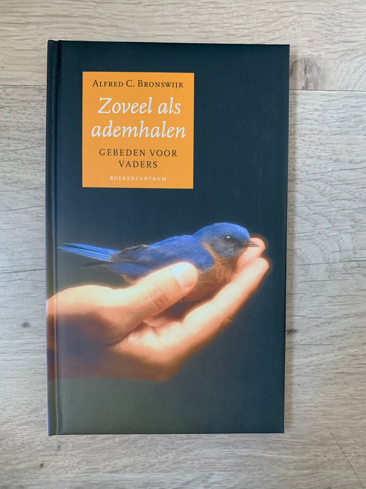 Zoveel als ademhalen, gebeden voor vaders van A.C. Bronswijk, Boeken, Ophalen of Verzenden, Nieuw