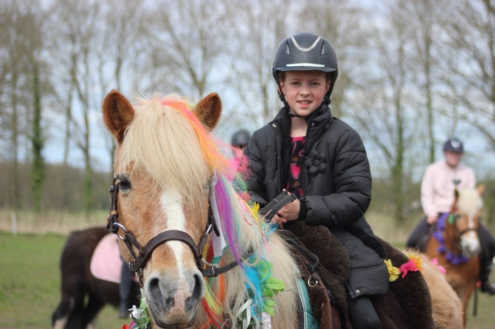 Lieve Haflinger merrie zoekt een verzorger., Ophalen of Verzenden