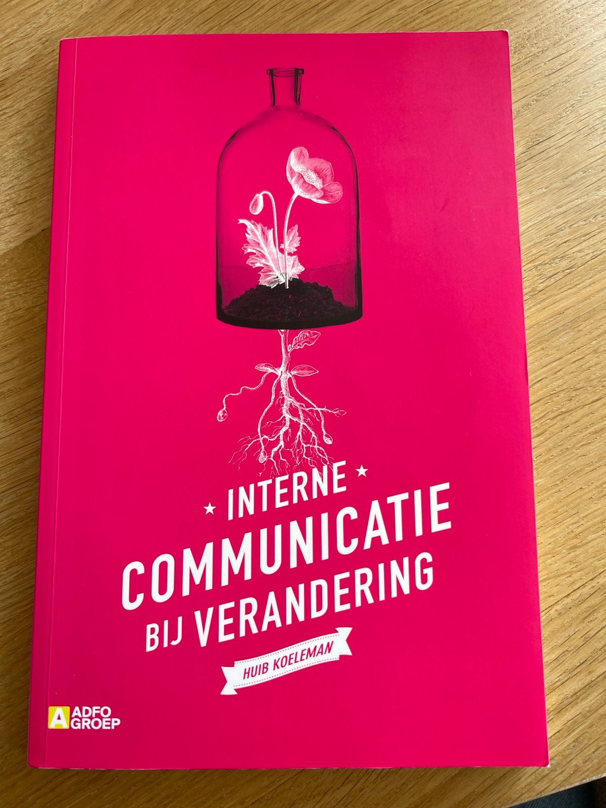 Interne Communicatie bij Verandering - Huib Koeleman, Ophalen of Verzenden, Gamma, Zo goed als nieuw, HBO