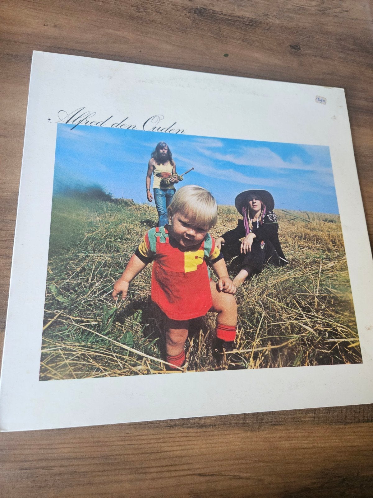Alfred den Ouden - Alfred den Ouden LP (1973), Ophalen of Verzenden, 1970 - 1979, Gebruikt, 12 inch
