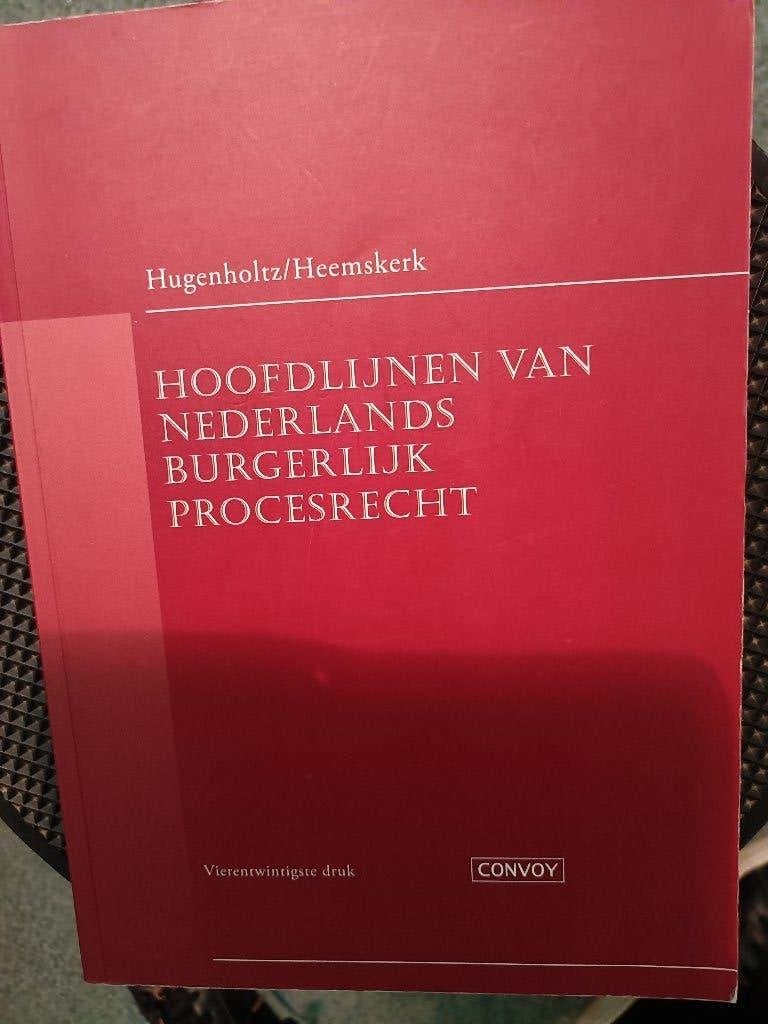 Hoofdlijnen van Nederlands burgerlijk procesrecht 24e druk, Boeken, Studieboeken en Cursussen, Ophalen of Verzenden, Alpha, HBO