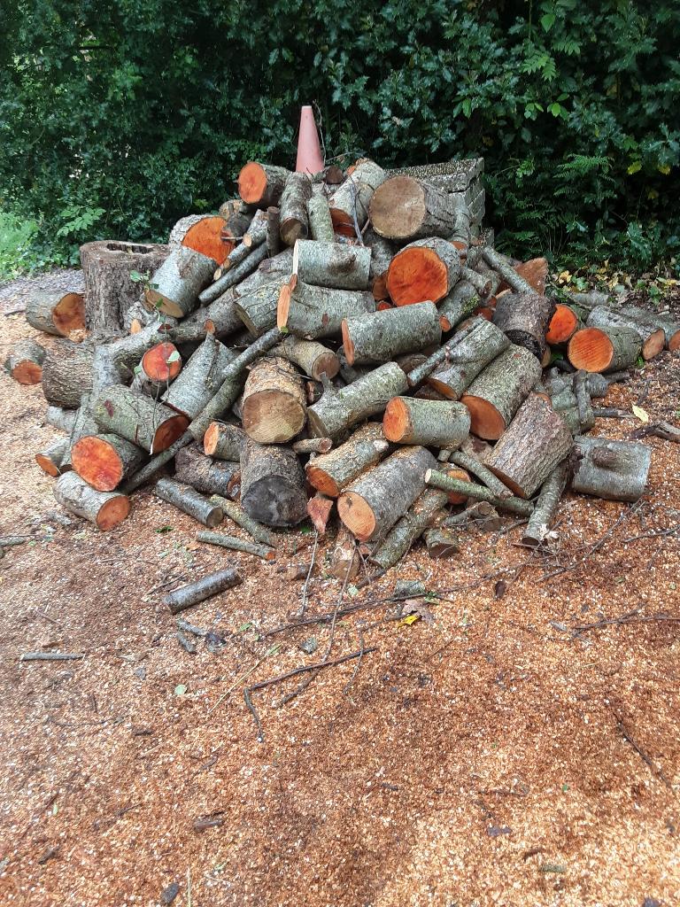 Haardhout 1.5 kub, Minder dan 3 m³, Ophalen, Elzenhout, Blokken