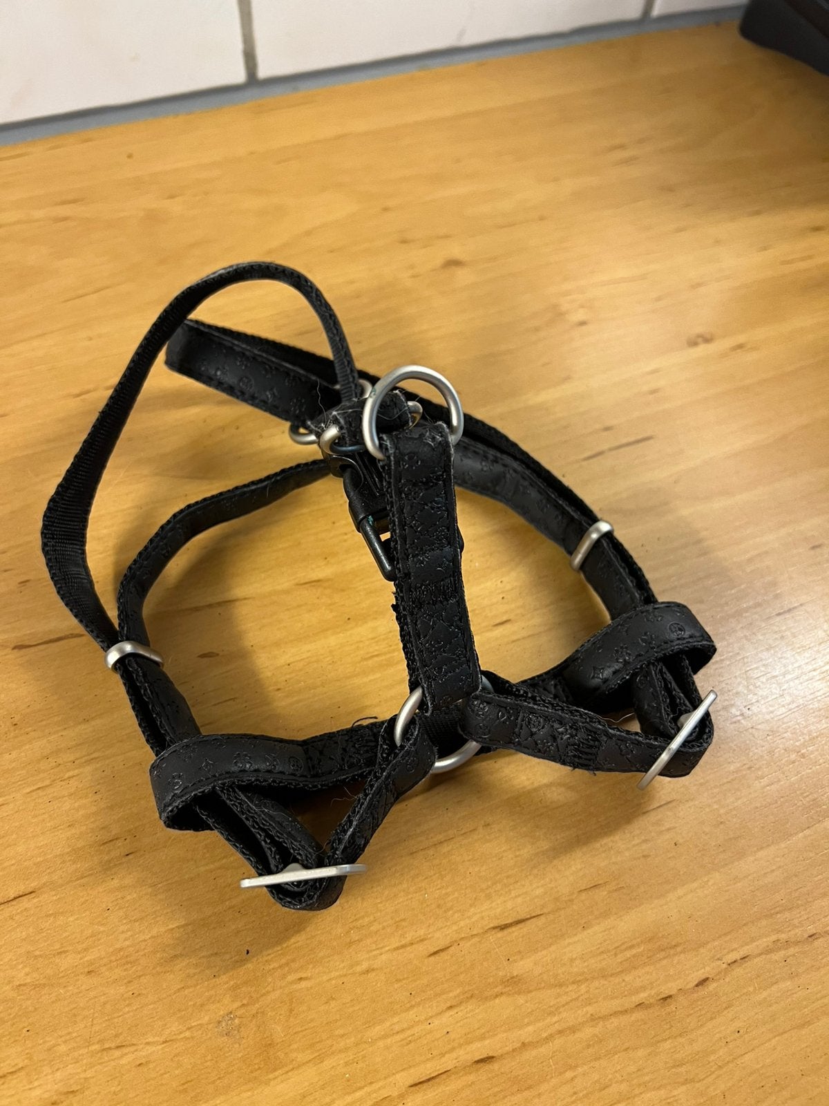 Katten-honden riemen, Dieren en Toebehoren, Ophalen of Verzenden, Gebruikt